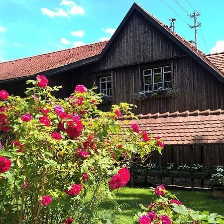 Albler-Nest Auf Hofgut Kuche Apartamento Burladingen Exterior foto