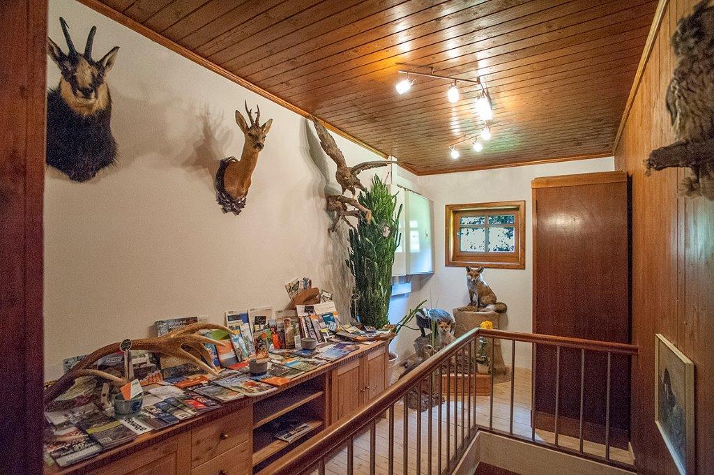 Albler-Nest Auf Hofgut Kuche Apartamento Burladingen Exterior foto