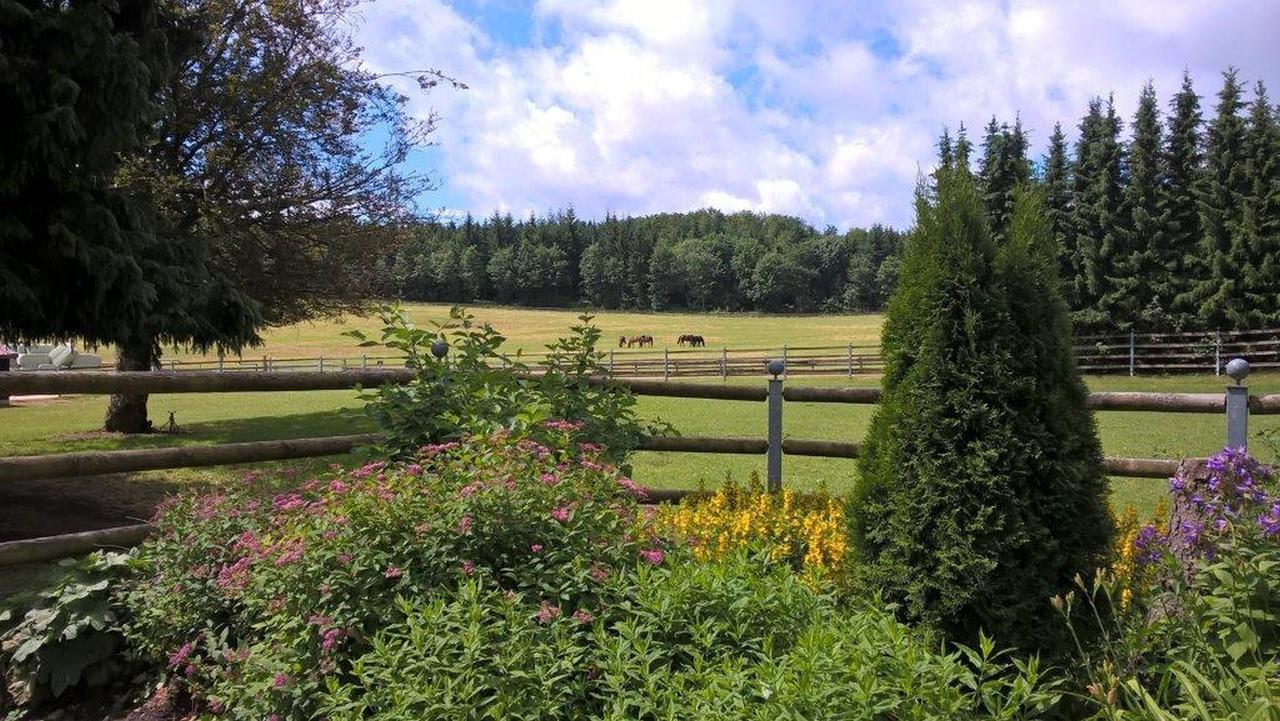 Albler-Nest Auf Hofgut Kuche Apartamento Burladingen Exterior foto