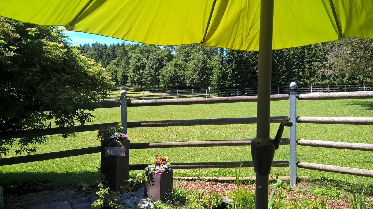 Albler-Nest Auf Hofgut Kuche Apartamento Burladingen Exterior foto